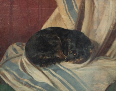 Study of a Dog Lying Down by Friedrich Carl von Scheidlin